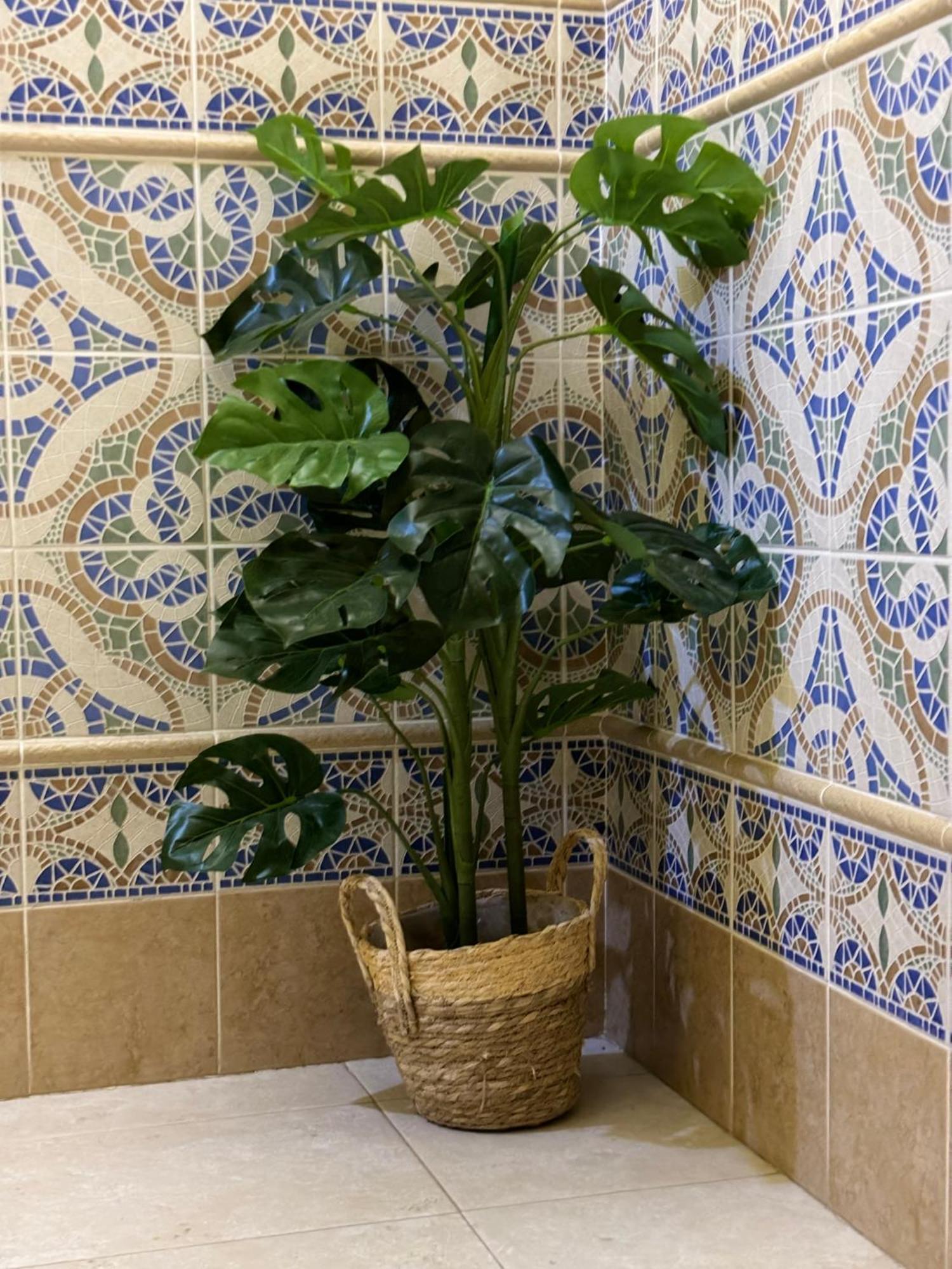 Apartamento La Alberca 1 阿拉色那 外观 照片